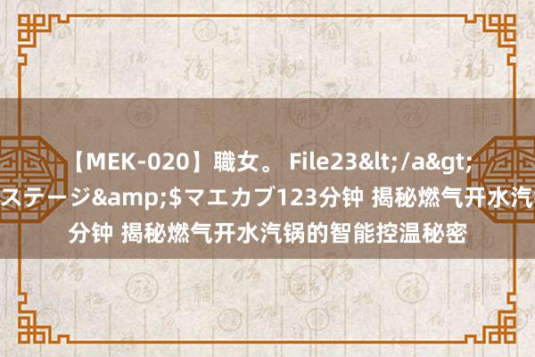 【MEK-020】職女。 File23</a>2011-05-20プレステージ&$マエカブ123分钟 揭秘燃气开水汽锅的智能控温秘密