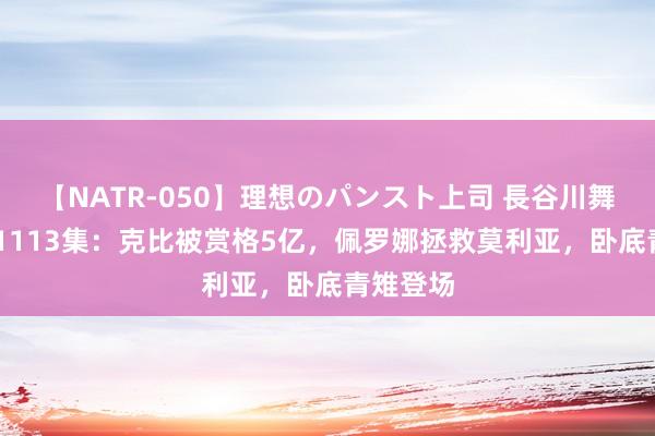 【NATR-050】理想のパンスト上司 長谷川舞 海贼王1113集：克比被赏格5亿，佩罗娜拯救莫利亚，卧底青雉登场