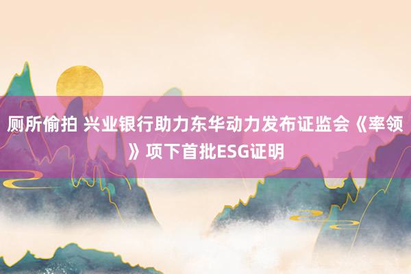 厕所偷拍 兴业银行助力东华动力发布证监会《率领》项下首批ESG证明