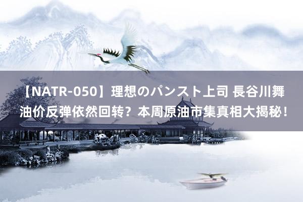 【NATR-050】理想のパンスト上司 長谷川舞 油价反弹依然回转？本周原油市集真相大揭秘！