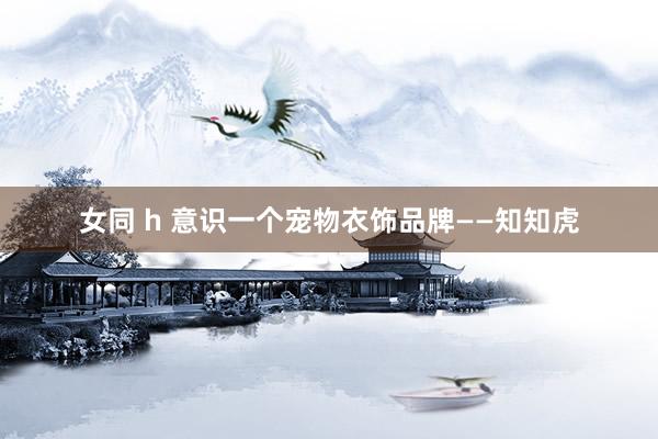 女同 h 意识一个宠物衣饰品牌——知知虎