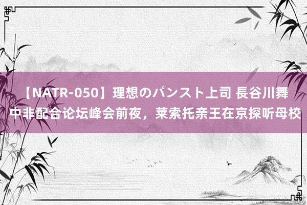 【NATR-050】理想のパンスト上司 長谷川舞 中非配合论坛峰会前夜，莱索托亲王在京探听母校