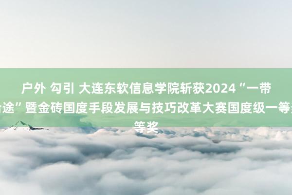 户外 勾引 大连东软信息学院斩获2024“一带沿途”暨金砖国度手段发展与技巧改革大赛国度级一等奖