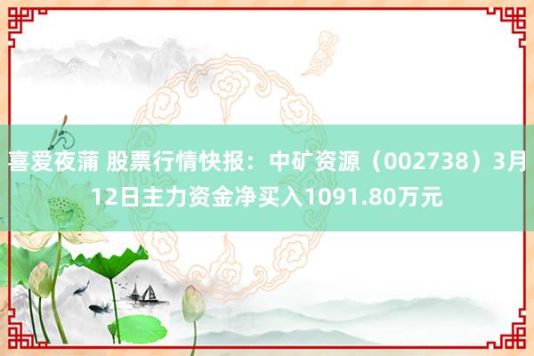 喜爱夜蒲 股票行情快报：中矿资源（002738）3月12日主力资金净买入1091.80万元