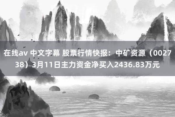 在线av 中文字幕 股票行情快报：中矿资源（002738）3月11日主力资金净买入2436.83万元