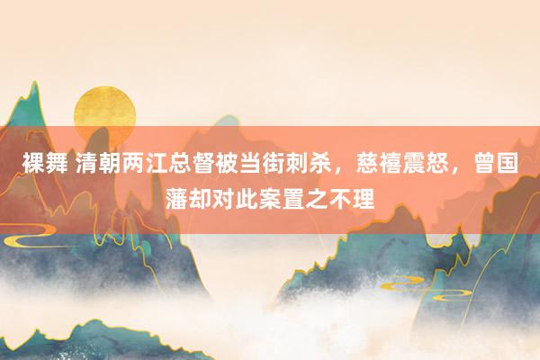 裸舞 清朝两江总督被当街刺杀，慈禧震怒，曾国藩却对此案置之不理