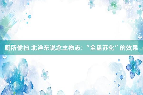 厕所偷拍 北洋东说念主物志: “全盘苏化”的效果